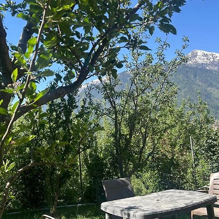 Sunface Homestay Manāli Eksteriør bilde